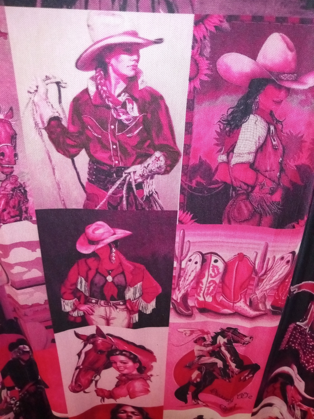 Southern Grace Pink Multi-Panel Cowgirl Print Dress - Picture 5 of 7